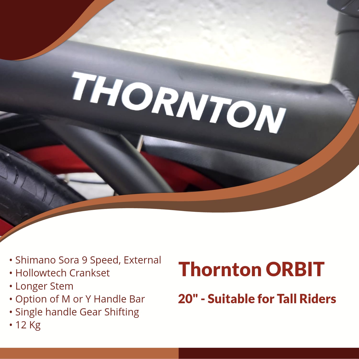 THORNTON ORBIT | 20" Trifold, 9 Speed, Hollowtech | Suitable for Tall Riders
