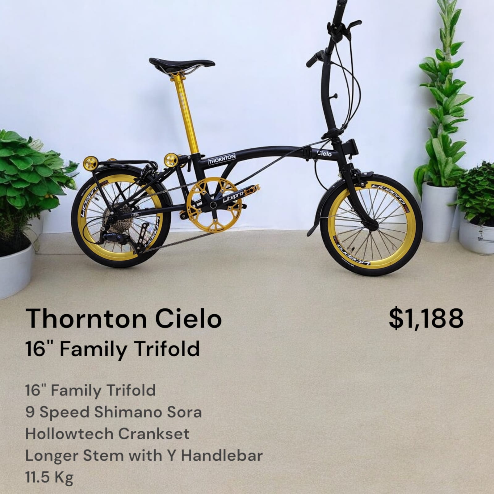 THORNTON CIELO | 16" Trifold, 9 Speed, Hollowtech