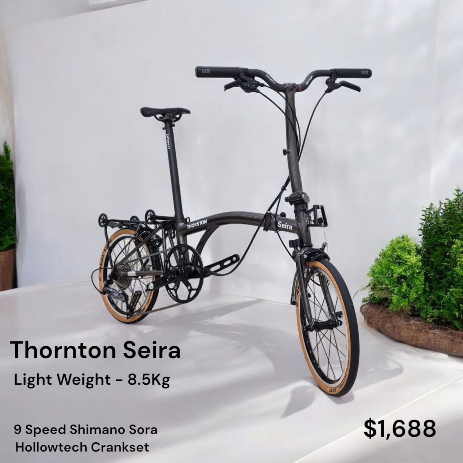 THORNTON SEIRA | 16" Trifold, 9 Speed Shimano Sora, Hollowtech | Light Weight 8.5 Kg