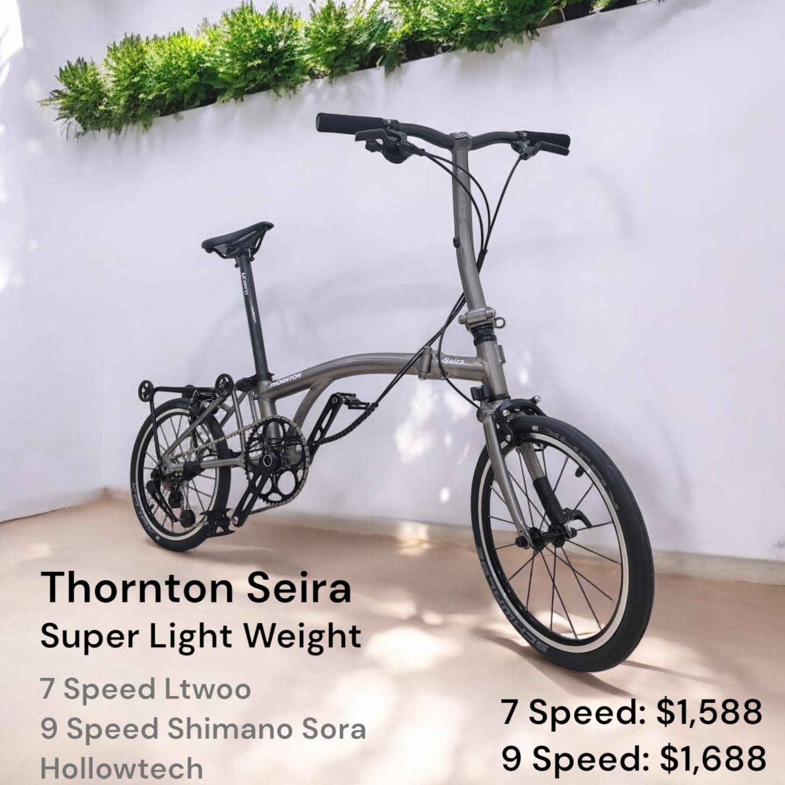 THORNTON SEIRA | 16" Trifold, 7 Speed, Hollowtech | Feather Light 8 Kg